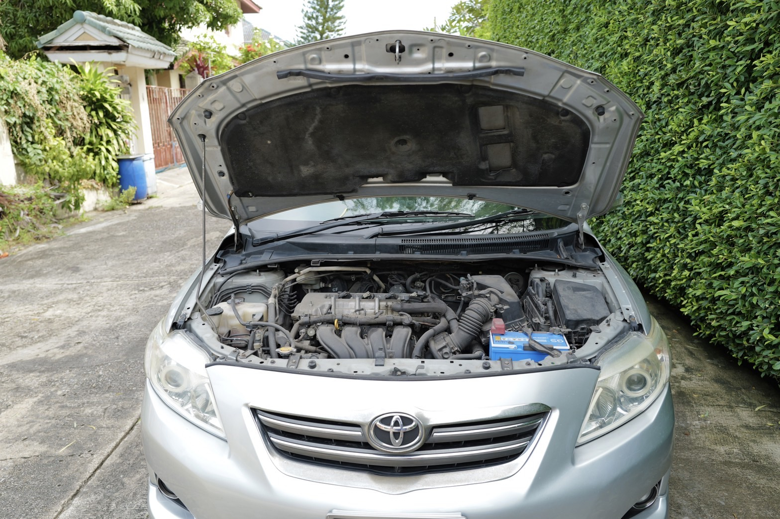 TikTok Business Class รวมทุกเรื่องที่เจ้าของแบรนด์ เจ้าของสินค้าต้องทำ